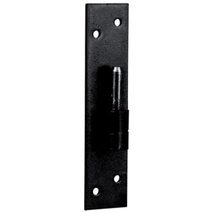 Gond sur platine acier noir 9005 en 40 x 5 mm axe de 14 mm - Bourgeois Freres - 554723