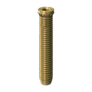 Vis d'ancrage de 48 mm pour une paumelle en sachet - HAHN - 504652
