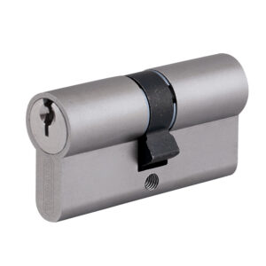 Cylindre double varié HG5 sur PG pour locaux non sensibles fintion nickelé 3 clés 30 x 40 - THIRARD - 533277