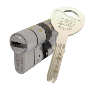 Cylindre de sûreté type T70 à clé réversible brevetée fonction clé de secours 5 clés 30 x 30 - TESA ASSA ABLOY - 162997