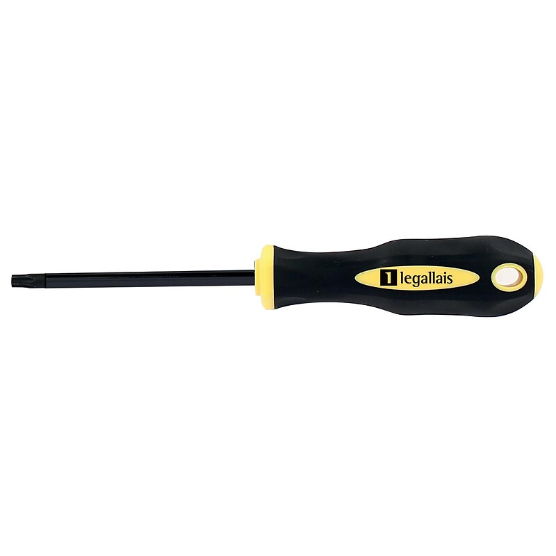 Tournevis lame ronde noire empreinte Torx T20x100 - TAHITI II - LEGALLAIS - 162024 – Image 3