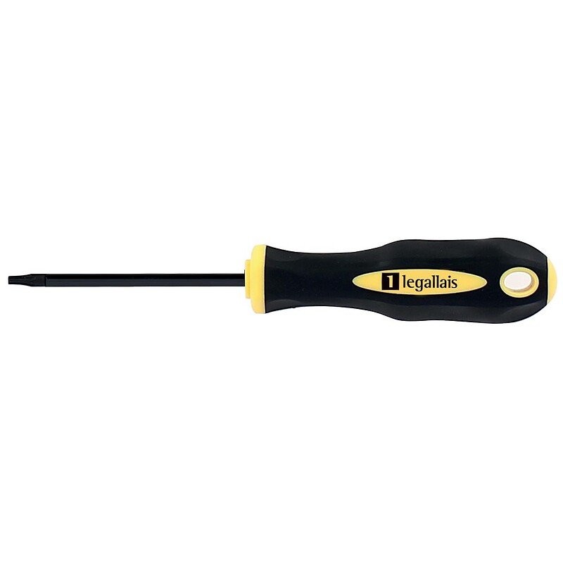 Tournevis lame ronde noire empreinte Torx T20x100 - TAHITI II - LEGALLAIS - 162024 – Image 2