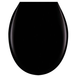 Abattant WC double noir RD 2 - Tissot Pro - 579349