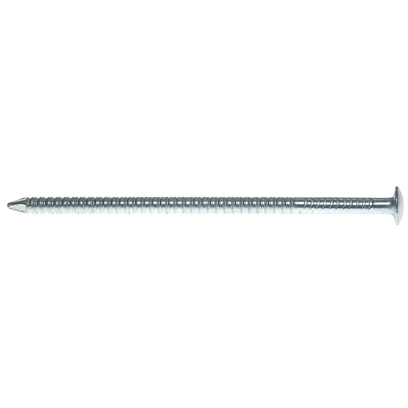Pointes annelées tête bombée inox A4, diamètre 2,5 mm, longueur 50 mm, boîte de 500 pointes - DON QUICHOTTE - 572825