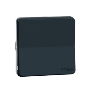 Va-et-vient gris anthracite composable Mureva Styl - Schneider - 101173