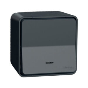 Va et vient lumineux LED gris anthracite saillie Mureva Styl IP55 IK08 - Schneider - 582233