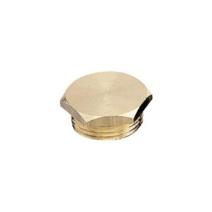 Sachet de 10 bouchons laiton M 15x21 (1/2") - - 698897
