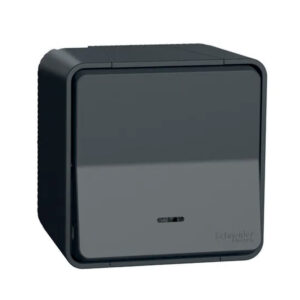 Bouton poussoir lumineux LED gris anthracite saillie Mureva Styl IP55 IK08 - Schneider - 582240