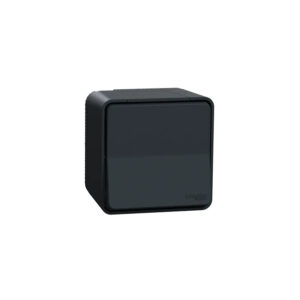 Va et vient gris anthracite saillie Mureva Styl IP55 IK08 - Schneider - 582219