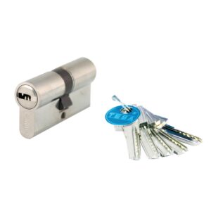 Cylindre double de sûreté type T 60 débrayable 5 clés laiton poli 30 x 40 mm - TESA ASSA ABLOY - 456653