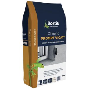 Ciment prise rapide Vicat, intérieur et extérieur, 5 kg - BOSTIK - 521431