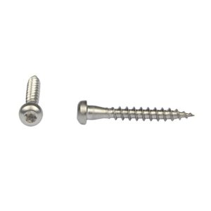Vis à tête cylindrique acier zingué empreinte Torx pour la fixation de sabots et étriers CSA 5x40 mm boîte de 250 pièces - SIMPSON - 550985