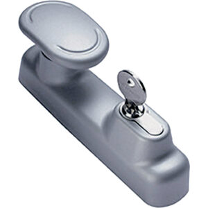 Bouton fixe extérieur condamnation par clé fonction clé prisonnière Oltre gris 9006 - FAPIM - 644750