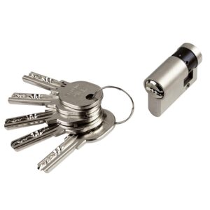 Cylindre simple ISR 6 laiton nickelé 5 clés sur N° AGL 697 et AEA016057 30 x 10 - ISEO CITY - 373675
