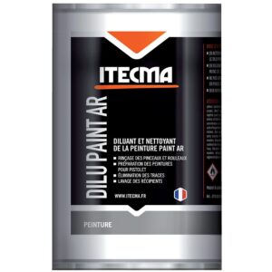 Diluant nettoyant peinture Dilu Paint Ar pot de 5 litres - ITECMA - 590423