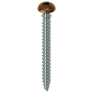 Vis tête large pour menuiserie PVC et aluminium acier chromiting laqué marron ent filetées Framex Clip, Ø 6 mm, L 70 mm, 100 pi - MUSTAD - 588778