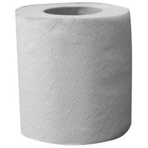 Papier toilette rouleaux ecolabel 100% recyclé - Papeco - 104973