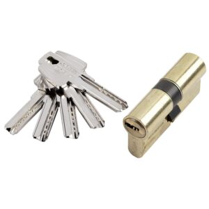 Cylindre double de sûreté type T 60 débrayable 5 clés laiton poli 30 x 30 mm - TESA ASSA ABLOY - 456646