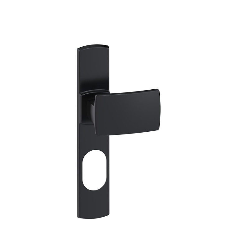Ensemble Muze palière sur grandes plaques entraxe 195 fonction clé I finition Onyx - VACHETTE ASSA ABLOY - 457363 – Image 5