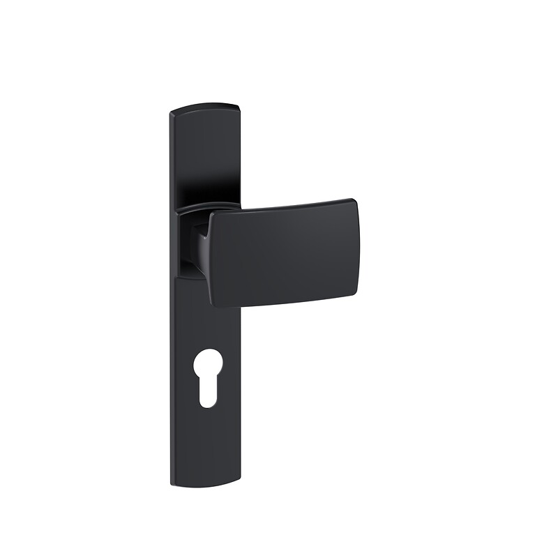 Ensemble Muze palière sur grandes plaques entraxe 195 fonction clé I finition Onyx - VACHETTE ASSA ABLOY - 457363