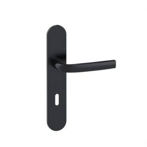 Ensemble Logio sur grandes plaques entraxe 195 finition Onyx clé I - VACHETTE ASSA ABLOY - 457503