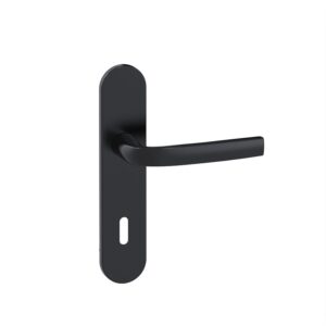 Ensemble Logio sur petites plaques entraxe 165 finition Onyx clé L - VACHETTE ASSA ABLOY - 457531