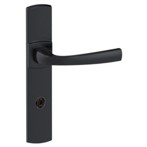 Ensemble Muze sur grandes plaques entraxe 195 mm finition Onyx condamnation sans voyant - VACHETTE ASSA ABLOY - 457398