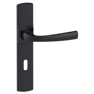 Ensemble Muze sur grandes plaques entraxe 195 mm finition Onyx clé L - VACHETTE ASSA ABLOY - 457384