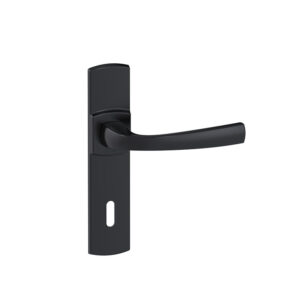 Ensemble Muze sur petites plaques entraxe 165 mm finition Onyx clé L - VACHETTE ASSA ABLOY - 457461