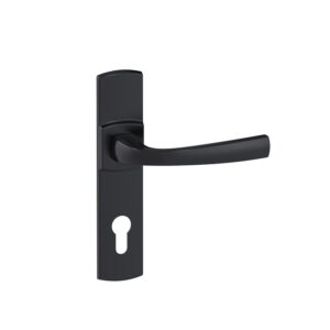 Ensemble Muze sur petites plaques entraxe 165 mm finition Onyx clé I - VACHETTE ASSA ABLOY - 457468