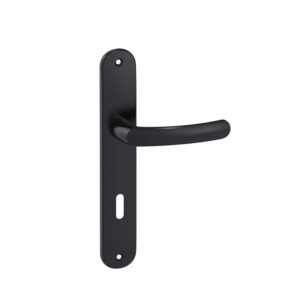 Ensemble sur grandes plaques entraxe 195 mm type Budget clé L finition Onyx noir mat - VACHETTE ASSA ABLOY - 143862