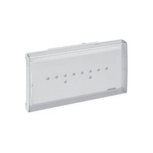 BAES+BAEH d'évacuation eco 1 LED 45 lm 1 heure plastique IP43 IK07 Sati Autodiag - Legrand - 365016