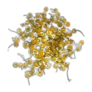 Têtes de camomille (1kg)- Vendu par 1