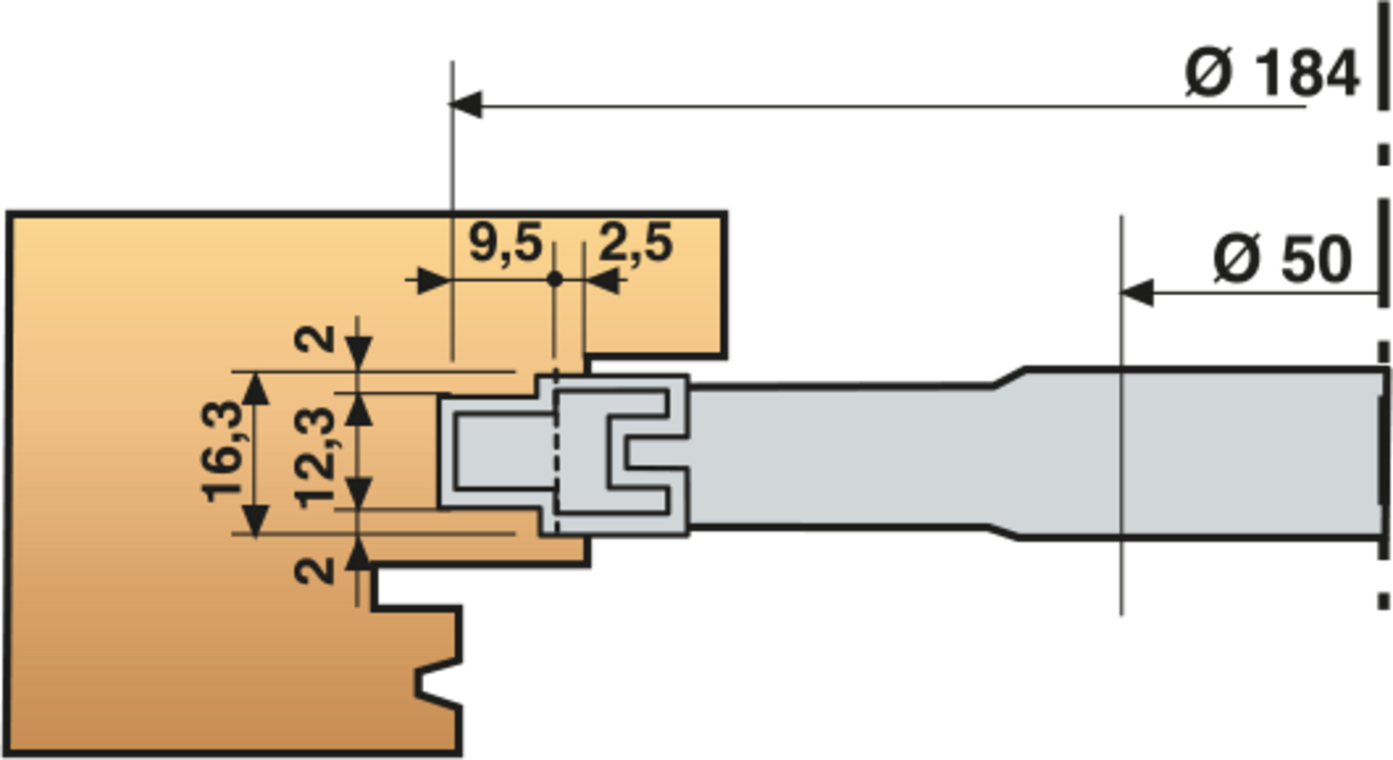 P.O USINAGE CREMONE D184X16,3/12,3X50 Z2 MAN (plaq. LOGIFIX F2.20L0255.0) - 971.9.184.50.16 - LEMAN – Image 6