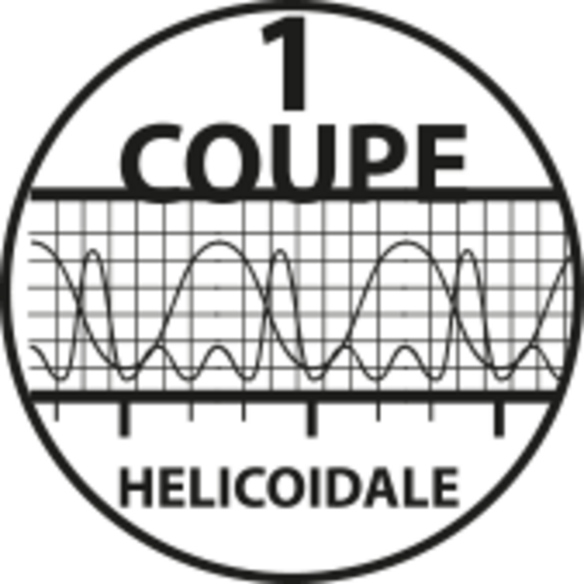 MECHE HM MASSIF D6X17X60 Z1 FINITION DROITE NEG - 7011.0617.00 - LEMAN – Image 3