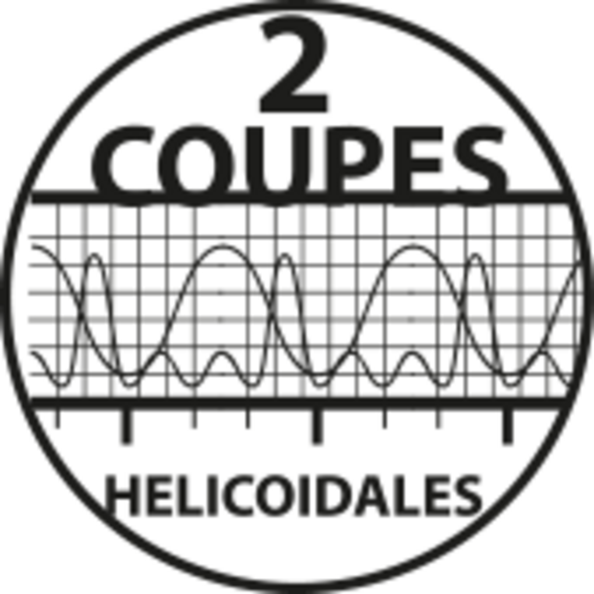 MECHE HM MASSIF D3X12X50 Z2 FINITION DROITE POS - 7020.0312.00 - LEMAN – Image 3
