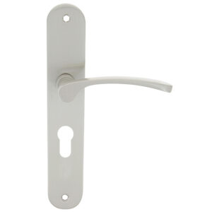 Ensemble sur plaque type Sara New béquille aluminium plaque acier entraxe 195mm nickelé mat à cylindre avec ressort - CADAP - 369282